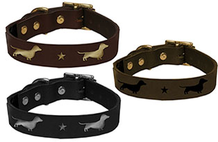 Happy-Wiener Dog Accessories